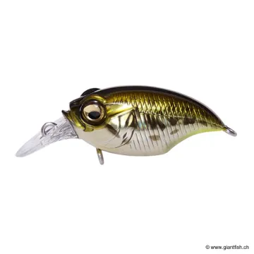Megabass GRIFFON BAIT FINESSE SRX