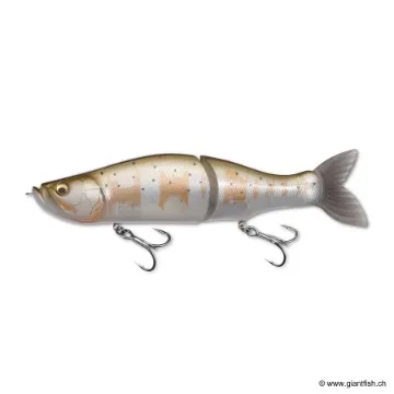 Megabass I SLIDE 265 R