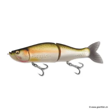 Megabass I SLIDE 265 R