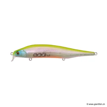 Megabass ITO SHINER SSR