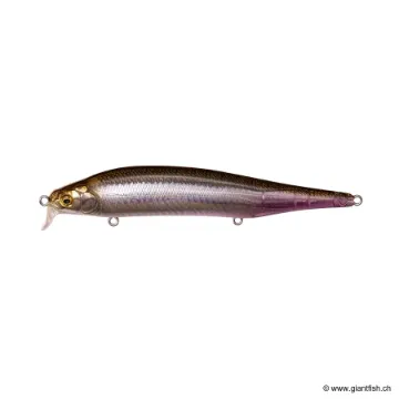 Megabass ITO SHINER SSR