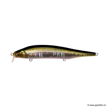 Megabass ITO SHINER SSR