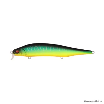 Megabass ITO SHINER SSR