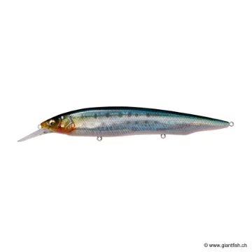 Megabass KANATA +1 SW