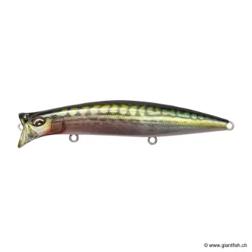 Megabass KIRINJI 120