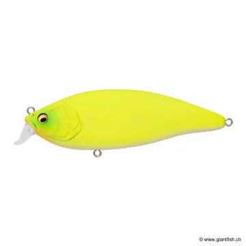 Megabass KONOSIRUS SHAD (F)