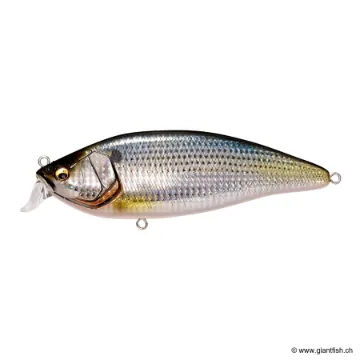 Megabass KONOSIRUS SHAD (F)