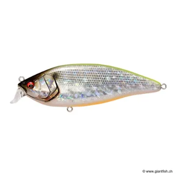 Megabass KONOSIRUS SHAD (F)