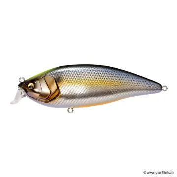Megabass KONOSIRUS SHAD (F)