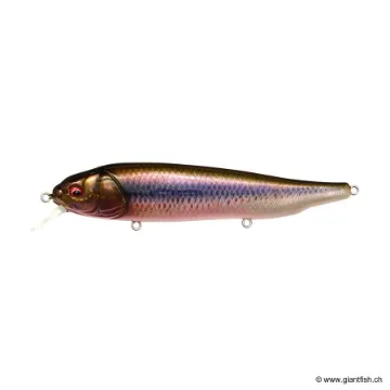 Megabass LATES FEEDINGWOOFER