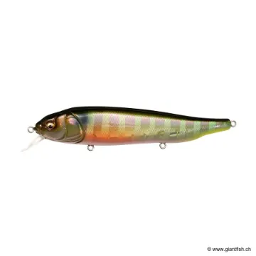 Megabass LATES FEEDINGWOOFER