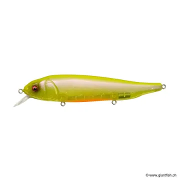 Megabass LATES FEEDINGWOOFER