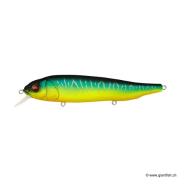 Megabass LATES FEEDINGWOOFER