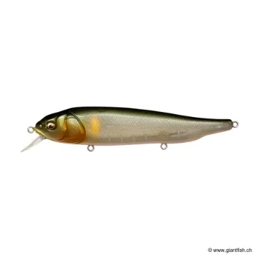 Megabass LATES FEEDINGWOOFER