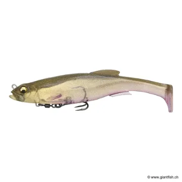 Megabass MAG DRAFT 5