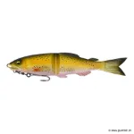 Rainbow Trout