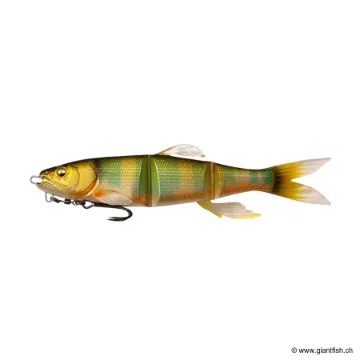 Megabass MAG DRAFT HASU RAVER