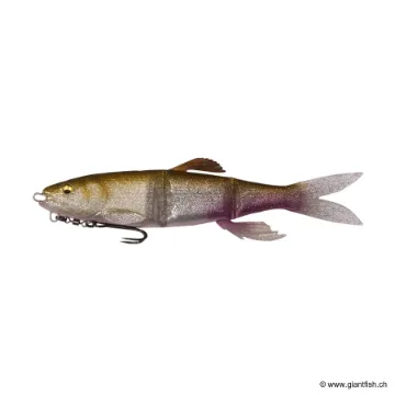 Megabass MAG DRAFT HASU RAVER