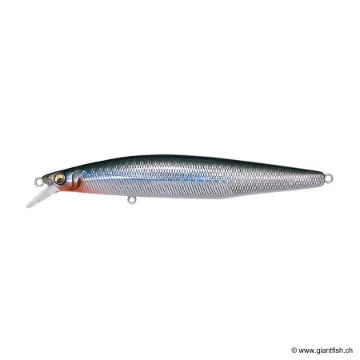 Megabass MARINE GANG COOKAI 120S