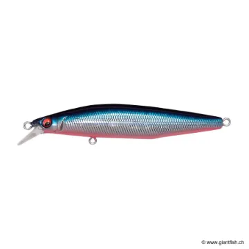 Megabass Marine Gang Cookai 90S