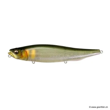 Megabass MEGADOG-X
