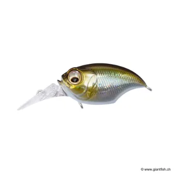 Megabass MRX Griffon