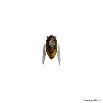 Megabass NANO SIGLETT