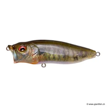 Megabass POP MAX