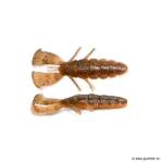 Green Pumpkin Orange