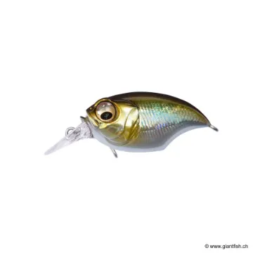 Megabass SRX GRIFFON