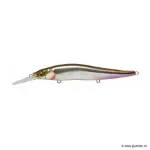 Wagin Galaxy Wakasagi