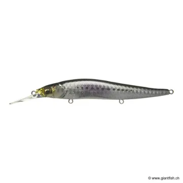 Megabass VISION 110 +1 SW