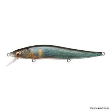 Megabass VISION 110 FW