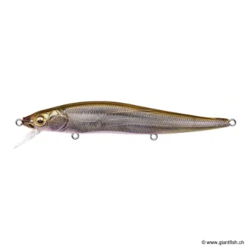 Megabass VISION 110 FW