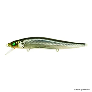 Megabass VISION 110 FW