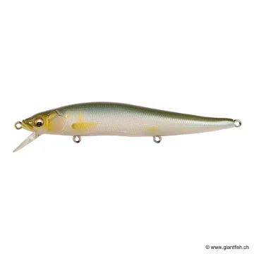 Megabass VISION 110 FW