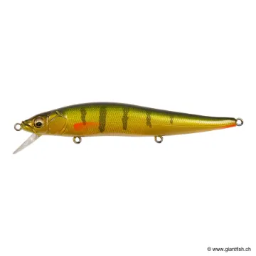 Megabass VISION 110 FW