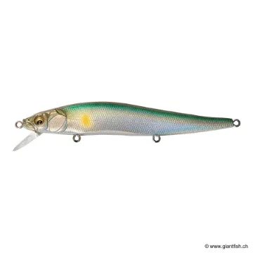 Megabass VISION 110 FW SUSPENDING