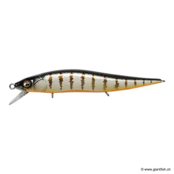 Megabass Vision 110 Junior