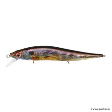 Megabass Vision 110 Junior