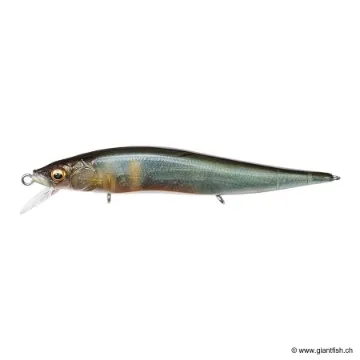Megabass Vision 110 Junior