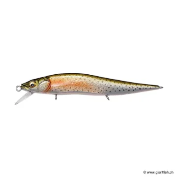 Megabass Vision 110 Junior