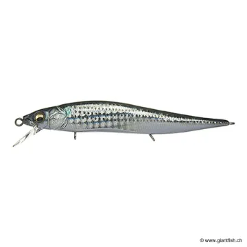 Megabass VISION 110 JUNIOR SW