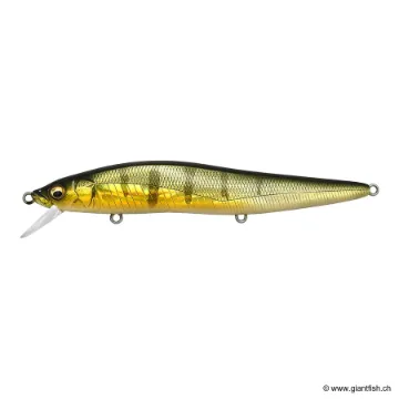 Megabass VISION 110 LBO FW