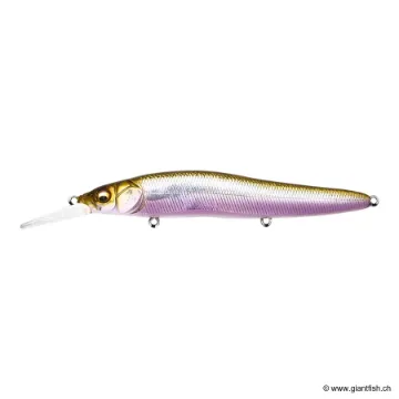 Megabass VISION 110 R+1