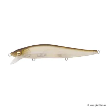 Megabass VISION 110 SR