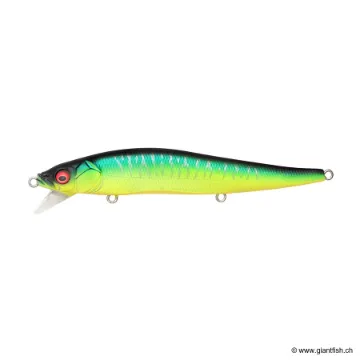 Megabass VISION 110 SR