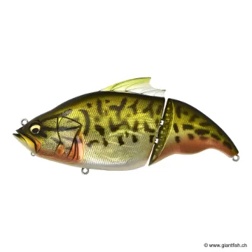 Megabass VATALION 190 SF