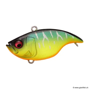 Megabass Vibration X Dyna Silent