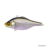 HT Ito Tennesse Shad